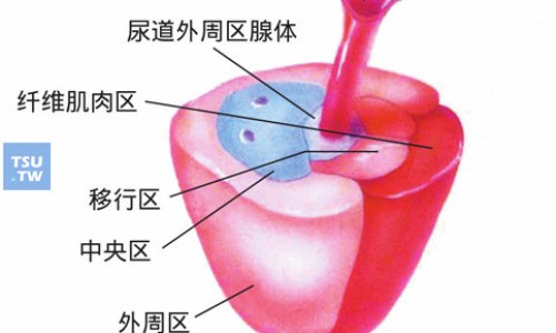 【硫辛酸作用】硫辛酸详细说明书 - 硫辛酸 说明书网